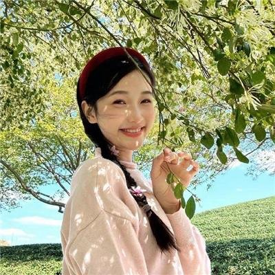 夏风 海报